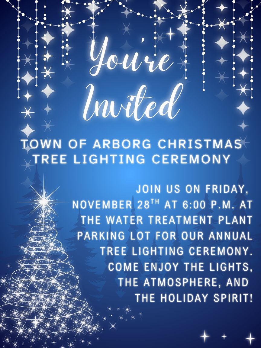 Christmas Tree Lighting 2025 3